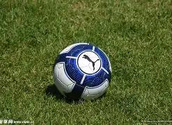 孙杨案件因,翻译争议延,后裁决,PT真人视讯,PT真人官网,PT真人视讯官方平台,PT视讯官网