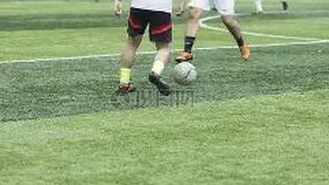 PT真人官网 资讯 124947 s6y