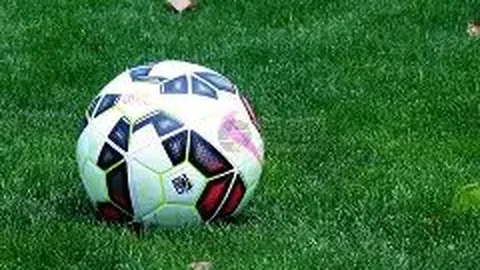 PT真人官网 产品 030236 rp7