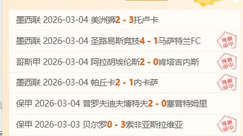 美因茨击败霍芬海姆荣获德甲佳绩